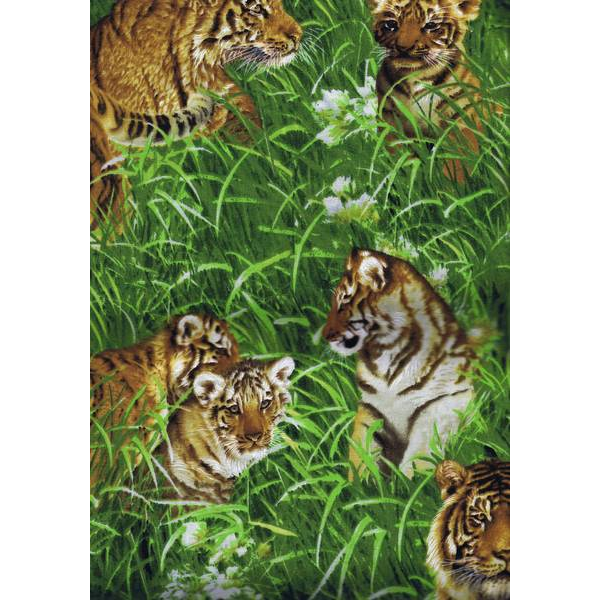 Tigers in Meadow